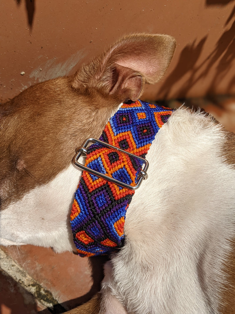 Martingale Collar Nero