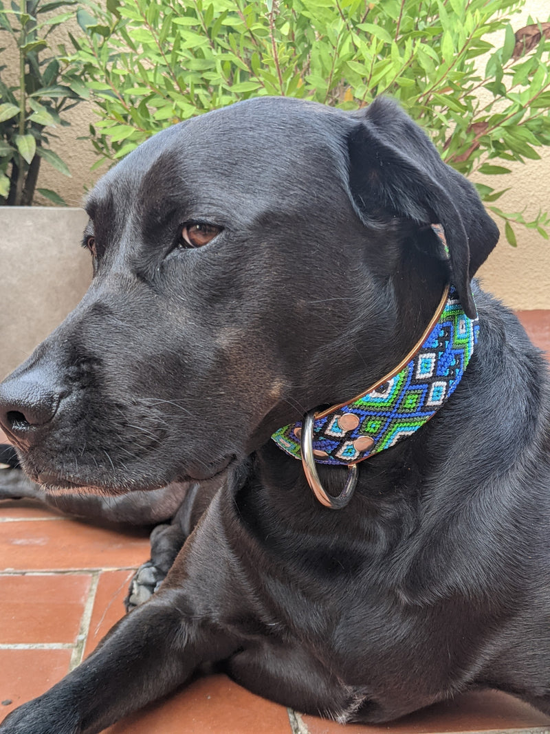 Leather Collar Onyx