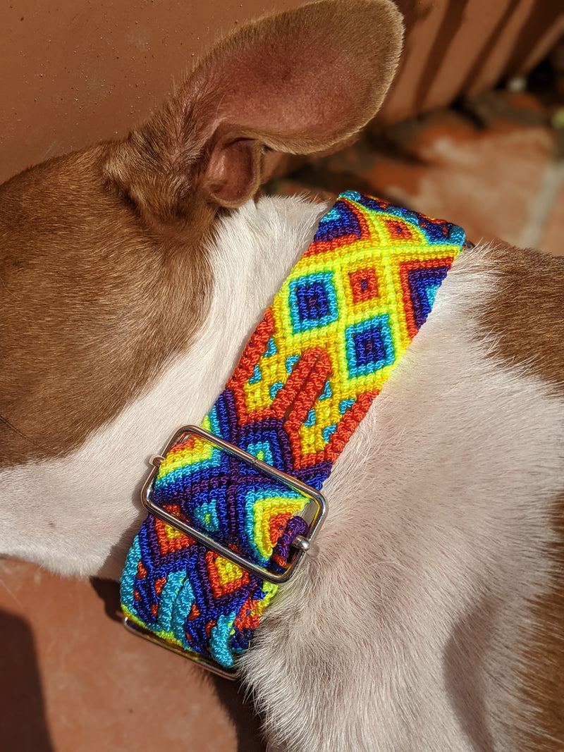 Martingale Collar Owen