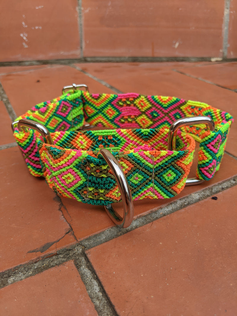 Martingale Collar Nala