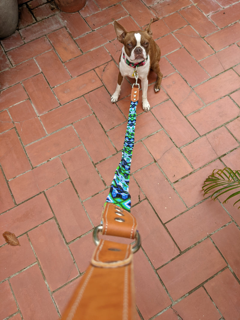 Leash Onyx