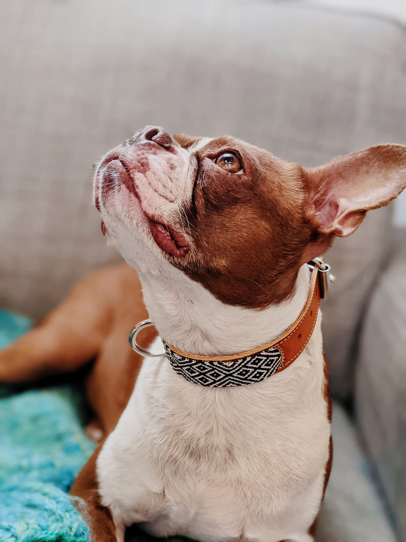 Collar de cuero